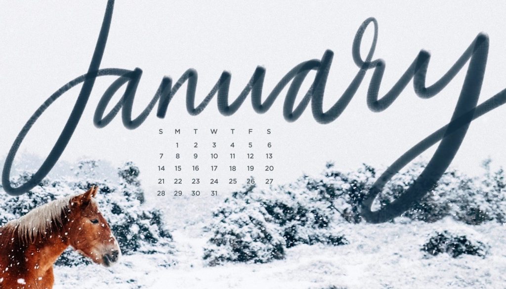 the-everygirl-january-backgrounds-pony-calendar 2 DEF