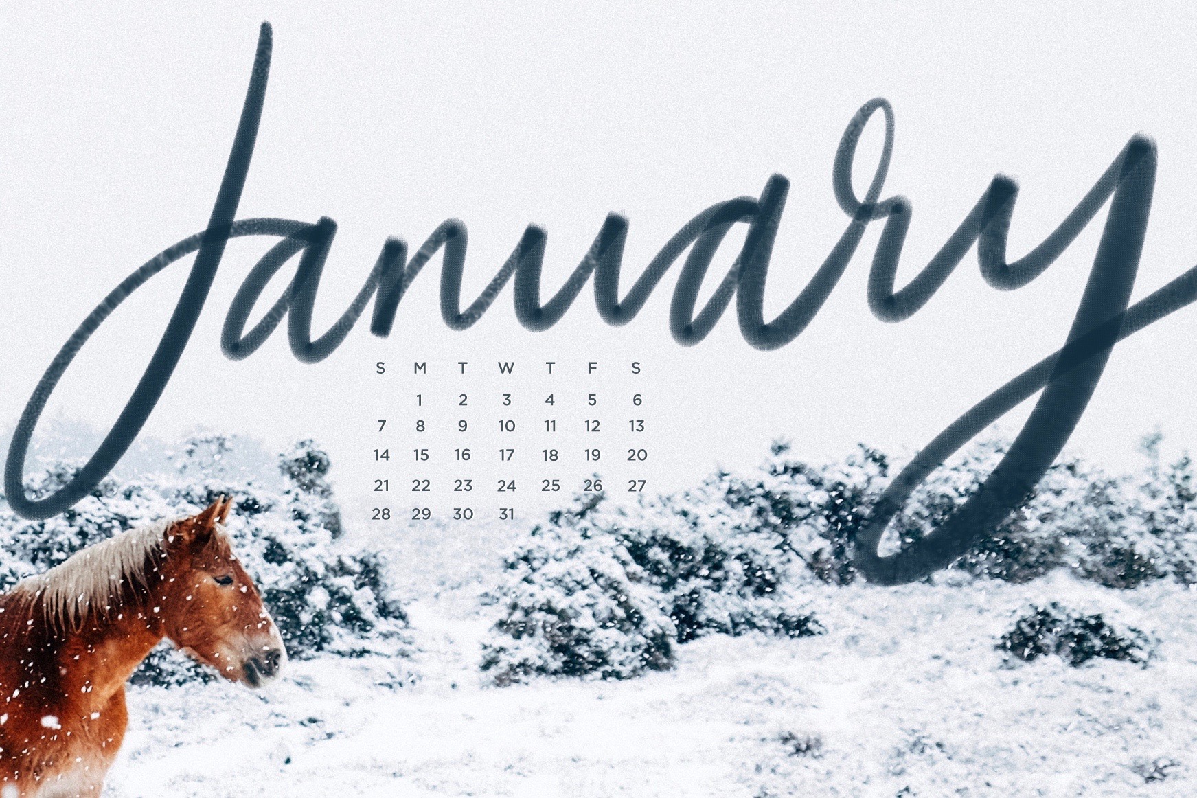 the-everygirl-january-backgrounds-pony-calendar 2 DEF